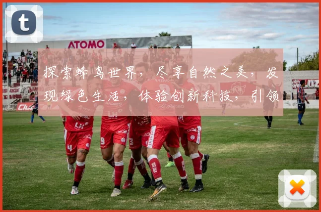 探索蜂鸟世界，尽享自然之美，发现绿色生活，体验创新科技，引领智能生活之旅。