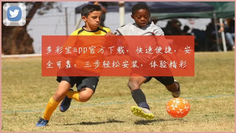 多彩宝app官方下载，快速便捷，安全可靠，三步轻松安装，体验精彩生活，不容错过